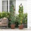 2-Pack Garden Obelisk Trellis for Climbing Plants