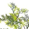 Artificial Plant Cypress Tree with Pot Green 35.4"