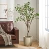 70.9 Inch Artificial Milan Leaf Bonsai,Large Plants for Home Decor and Housewarming Gift