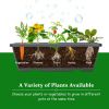4 ft Vertical Raised Garden Bed with 5 Tiers for Patio Balcony