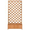 Planter with Trellis Brown Solid Wood Fir