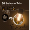 25-light 50ft Indoor/Outdoor Plug-in Integrated LED Globe String Lights with Dimmer Timer, Bluetooth App Control