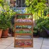 3-Tier Acacia Wood Plant Stand, Foldable Compact Indoor/Outdoor Display Rack for Plants and Decorative Items