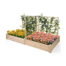 Raised Garden Bed with 2 Planter Boxes and 3 Trellis (Color: Natural)