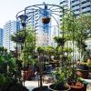 Metal Garden Arch Iron Garden Arbors Gazebo Dia81.3'' x 114.2'' High Birdcage Shape Pergola Pavilion for Wedding Ceremony Outdoor