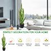 1PC 35.5 inches Indoor and Outdoor Decoration Fake Snake Plant Artificial Plant