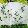 4 Pack Metal Garden Trellis 71" x 19.7" Rustproof Trellis for Climbing Plants Outdoor Flower Support
