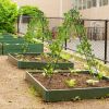 2 Pack 71 x 20 Inches Metal Garden Trellis Rustproof Plant Support for Climbing Plants