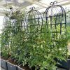 4 Pack Metal Garden Trellis 71" x 19.7" Rustproof Trellis for Climbing Plants Outdoor Flower Support